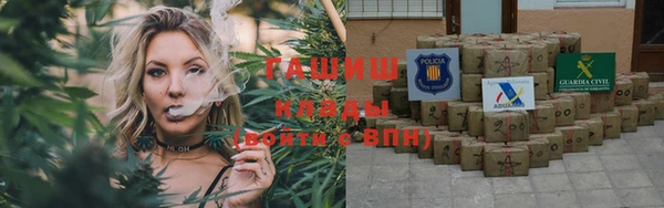 винт Абаза