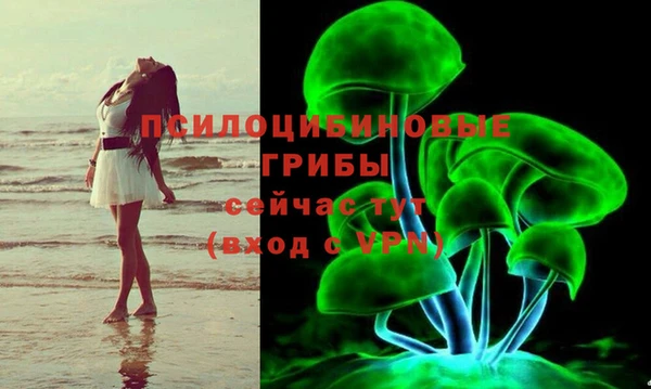 винт Абаза
