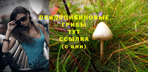 винт Абаза