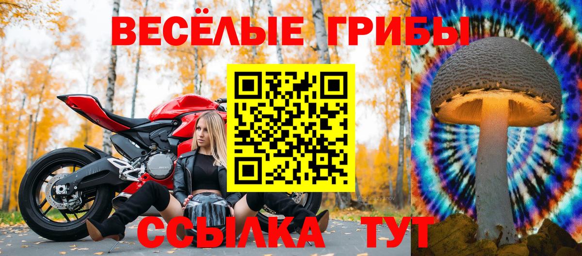 Псилоцибиновые грибы Magic Shrooms Псков