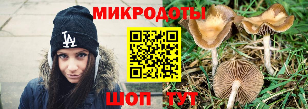 купить закладку  Галлюциногенные грибы Magic Shrooms  Вход с VPN  Псков 